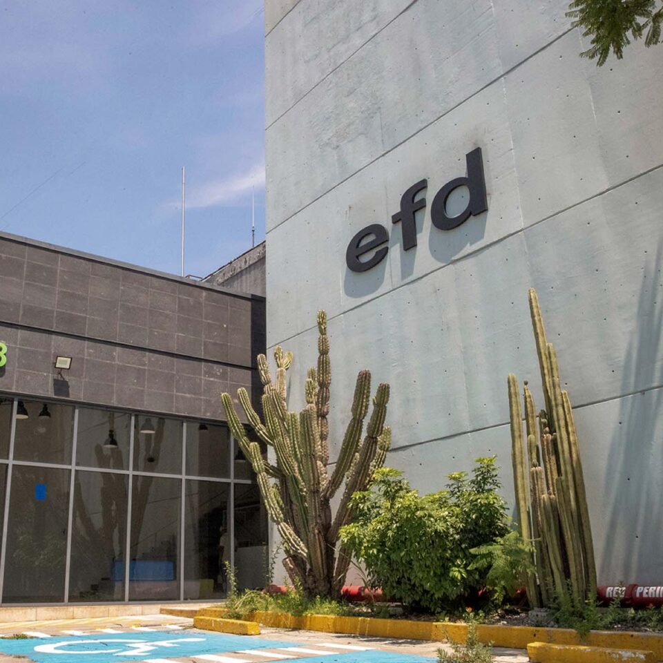 EFD México